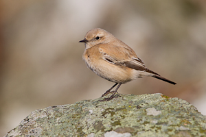 © Oliver Smart © Oliver Smart